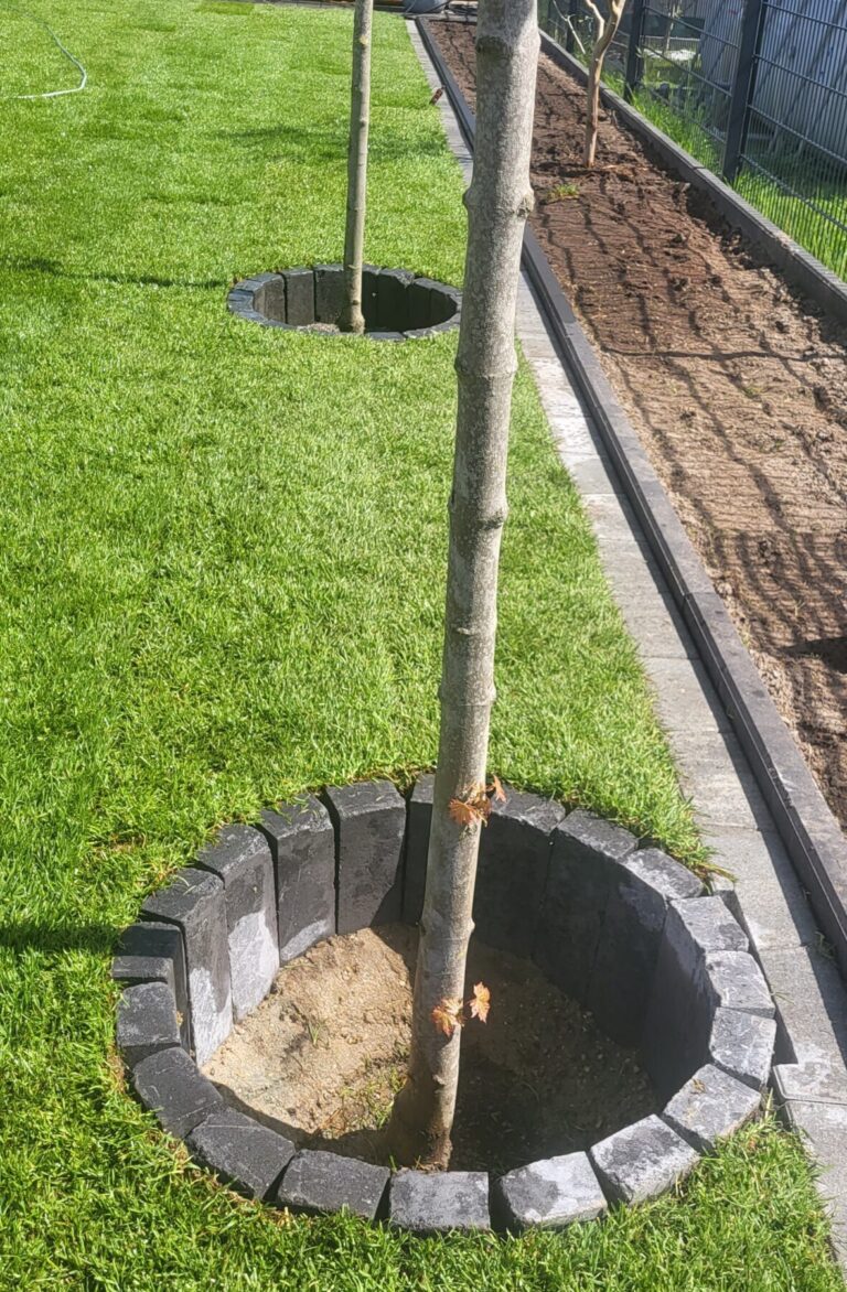 DW Serafimov Garten -und Landschaftsbau Lippstadt